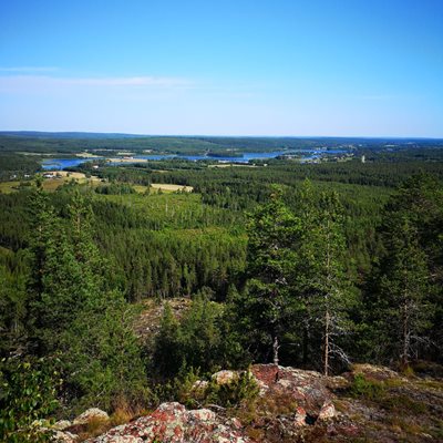 Pålberget