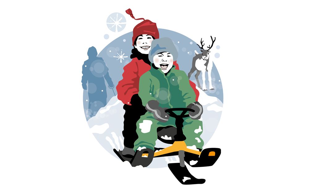 Transport Toboggan