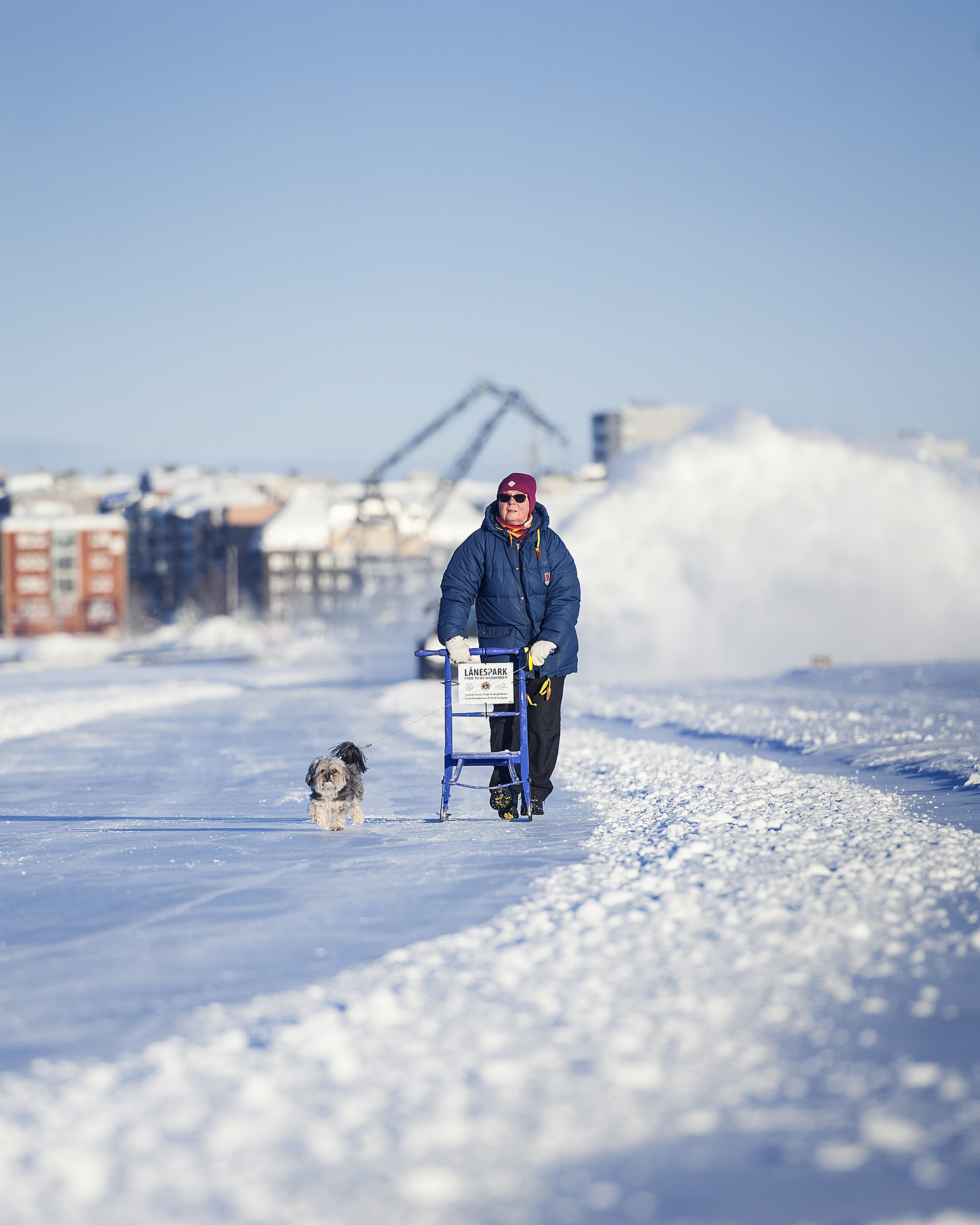 Kickbiking The Ice Road