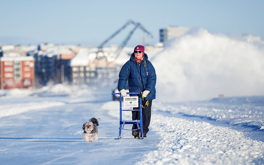 Kickbiking The Ice Road