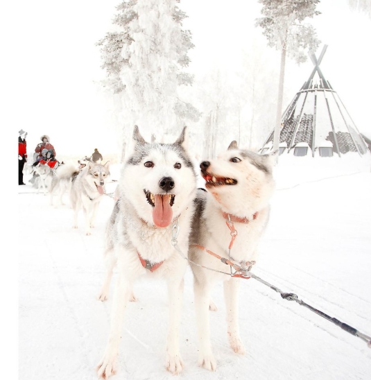 Skärmbild 9 9 2026 10379 Vartlulea.Se