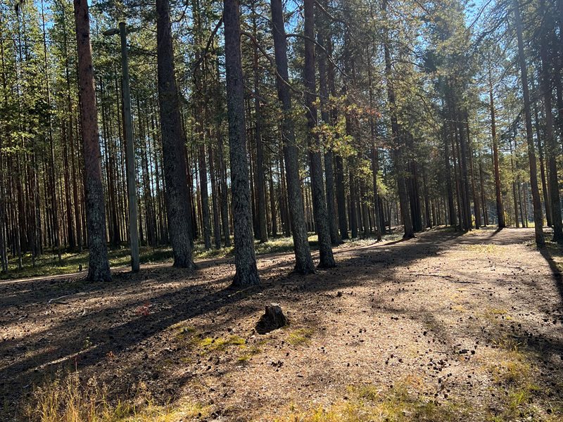 Höträsket, Johanna Aidanpää Fri Att Använda Visitlulea.Se (2)